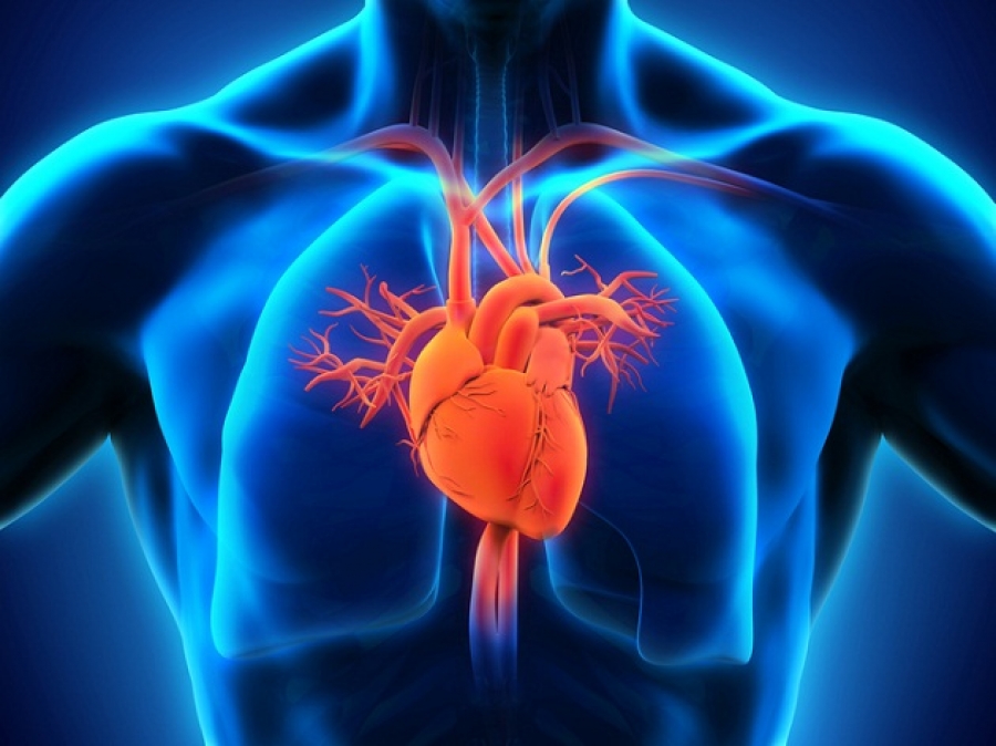 AFIB technológia detekcie atriálnej fibrilácie srdca